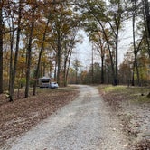 Review photo of Little Lick Campground by Shelly S., November 12, 2020