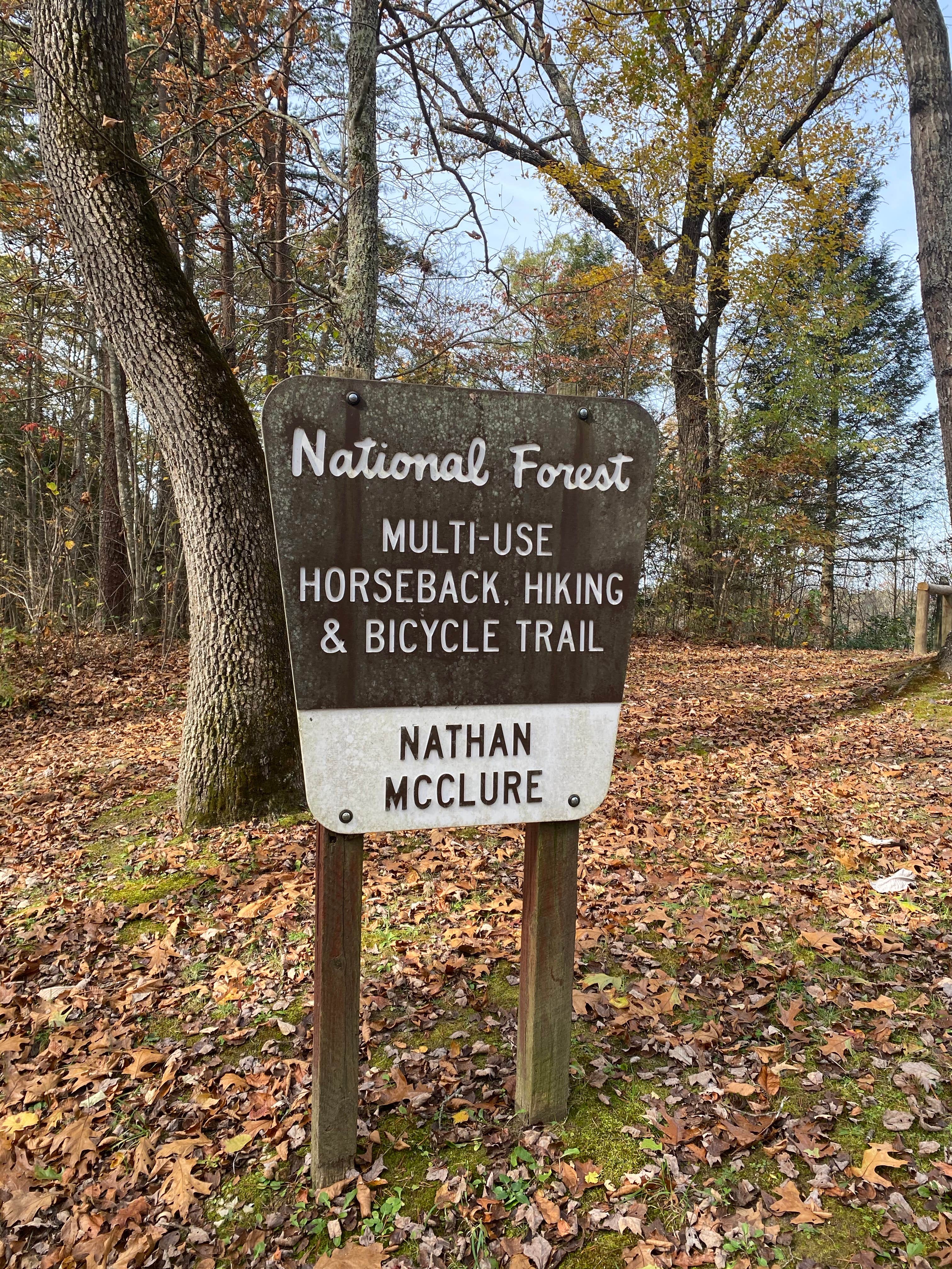 Camper submitted image from Daniel Boone National Forest Little Lick Horse Camp - 4