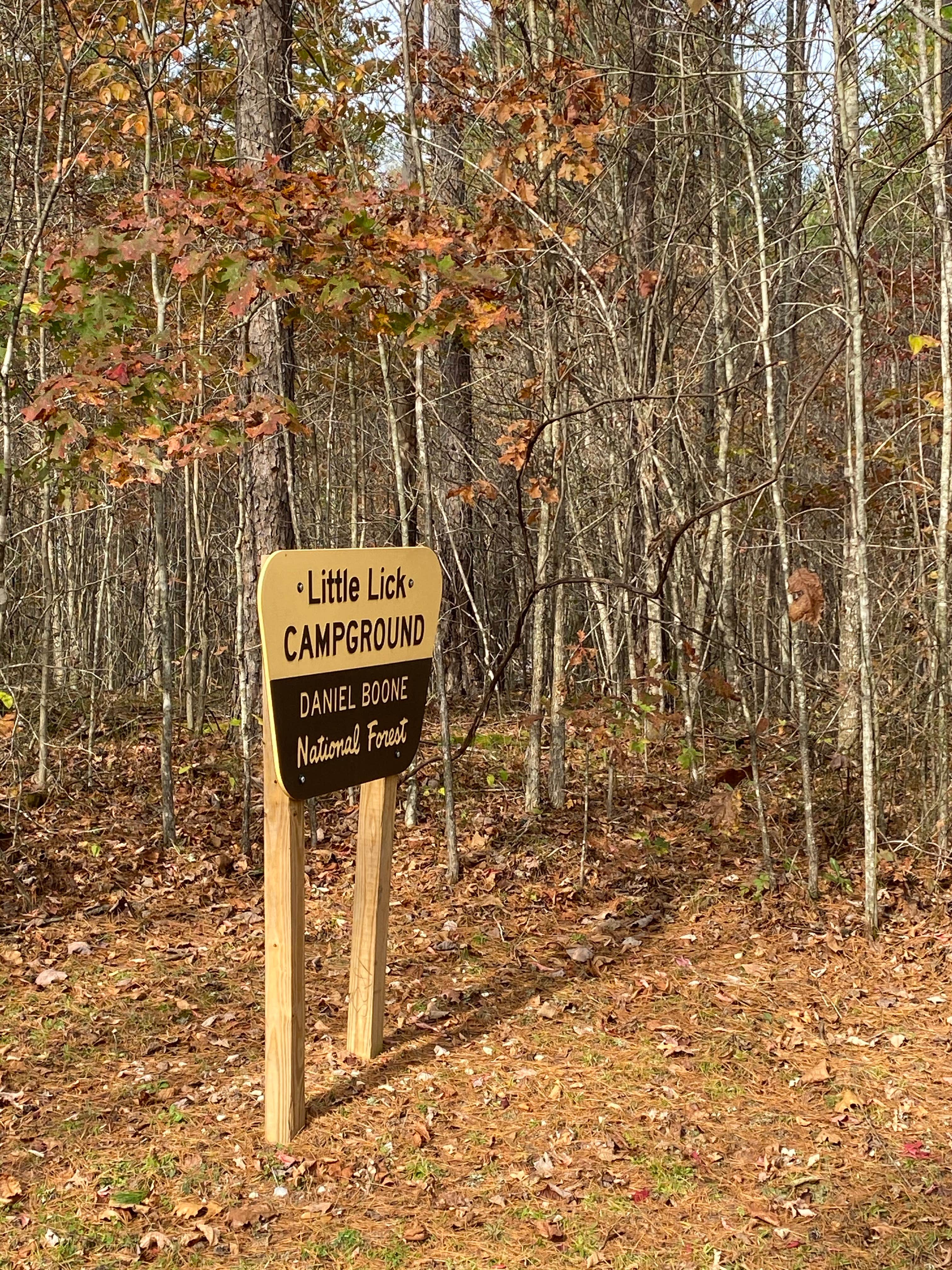 Camper submitted image from Daniel Boone National Forest Little Lick Horse Camp - 3