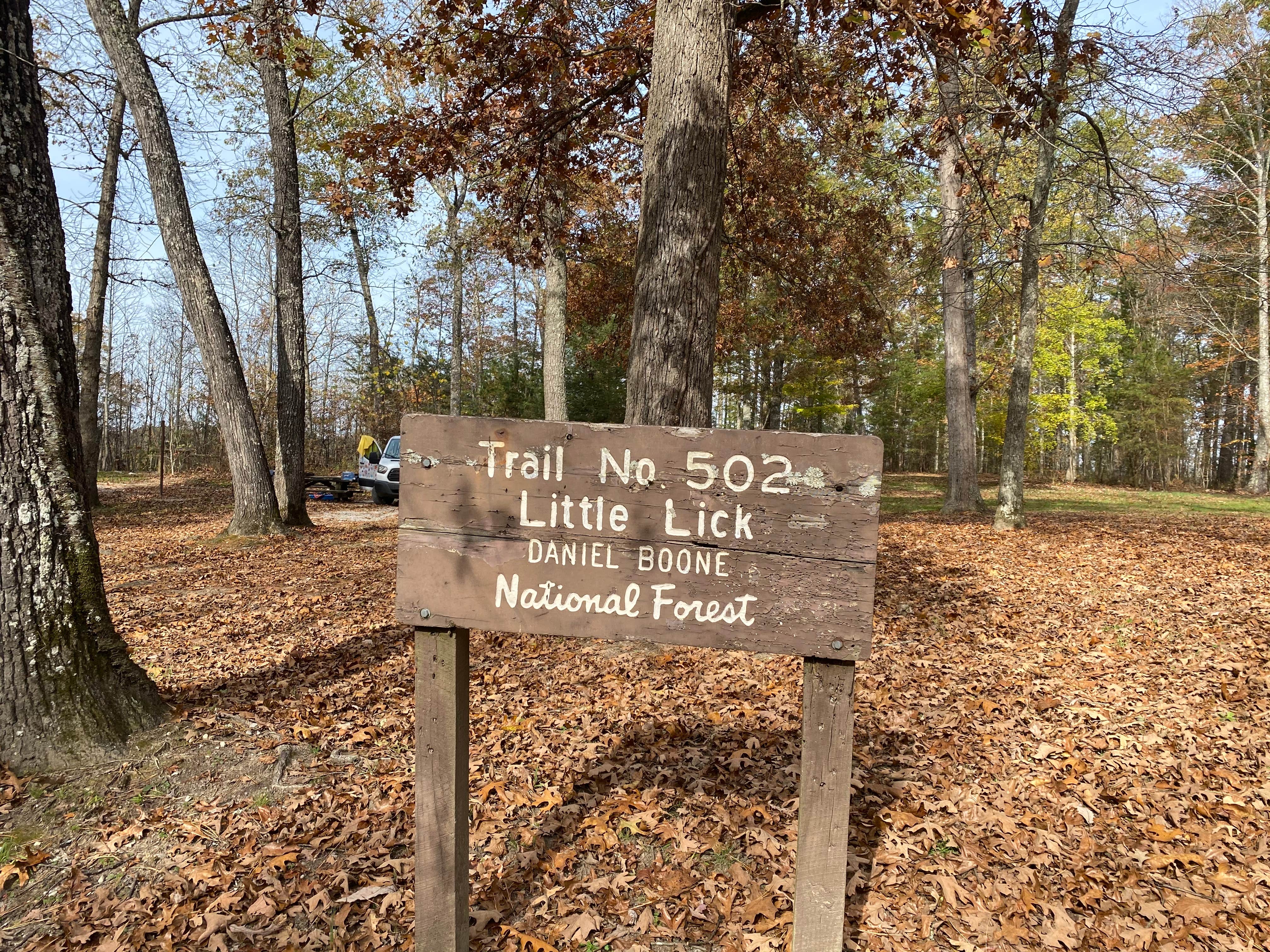 Camper submitted image from Daniel Boone National Forest Little Lick Horse Camp - 2