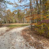 Review photo of Daniel Boone National Forest Little Lick Horse Camp by Shelly S., November 12, 2020