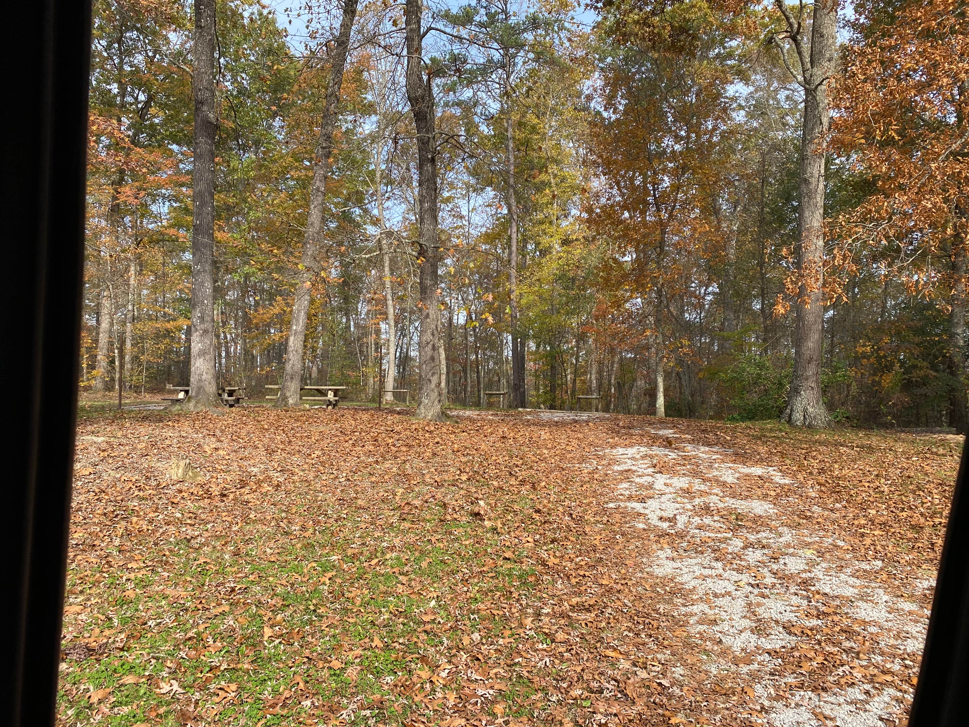 Camper-submitted photo at Daniel Boone National Forest Little Lick Horse Camp near Big South Fork National River and Recreation Area