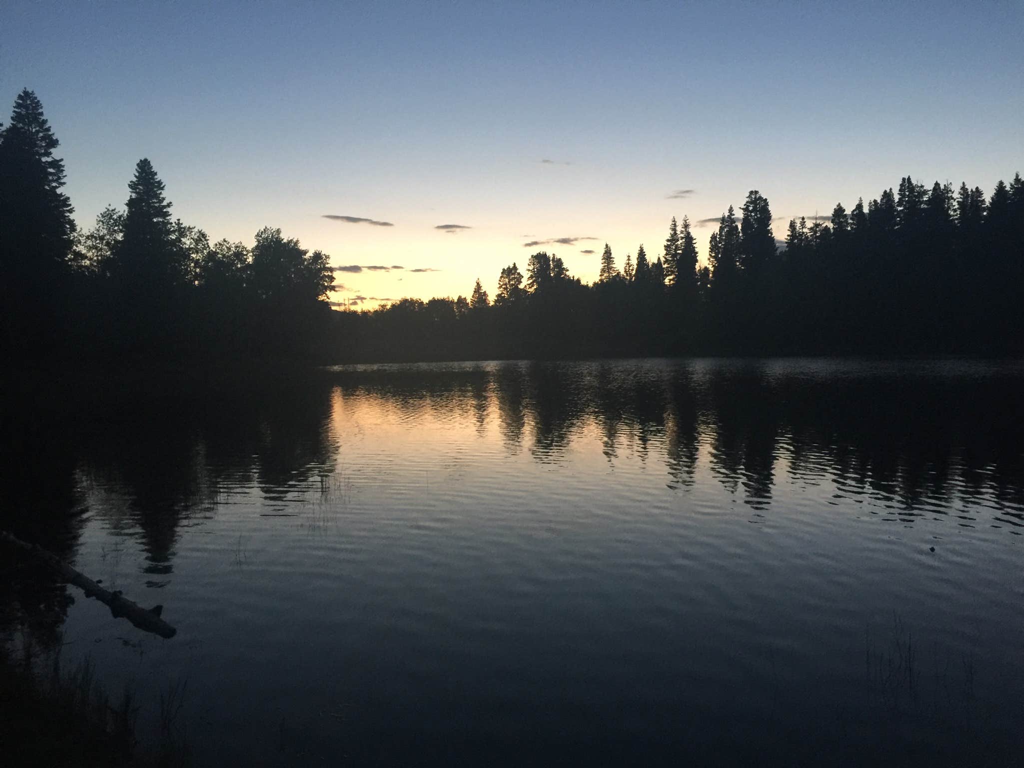 Camper submitted image from Maple Lake - 3