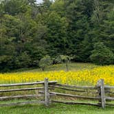 Review photo of Linville Falls Campground — Blue Ridge Parkway by Phil W., November 12, 2020