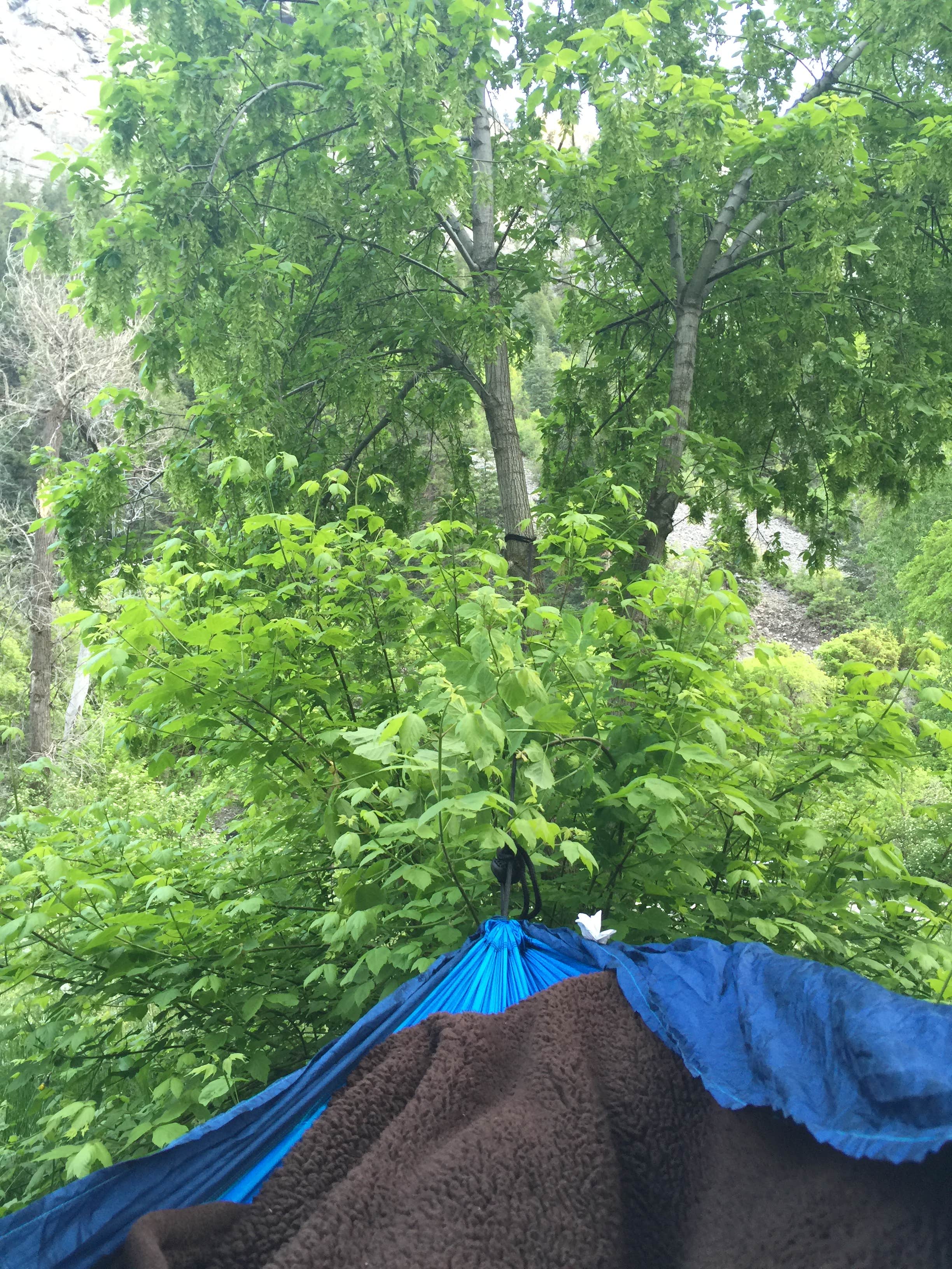 Kyler N.'s photo at Nunns Park near Springville, UT