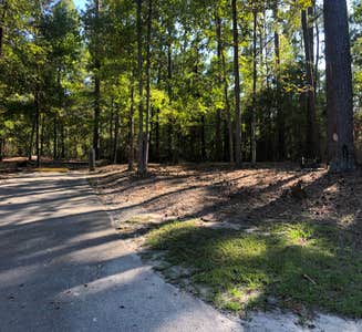 Camper-submitted photo from South Toledo Bend State Park Campground