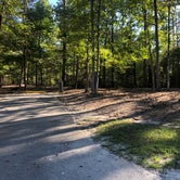 Review photo of South Toledo Bend State Park Campground by Lori H., November 13, 2020