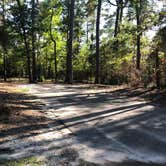 Review photo of South Toledo Bend State Park Campground by Lori H., November 13, 2020