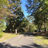 Review photo of South Toledo Bend State Park Campground by Lori H., November 13, 2020