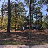 Review photo of South Toledo Bend State Park Campground by Lori H., November 13, 2020