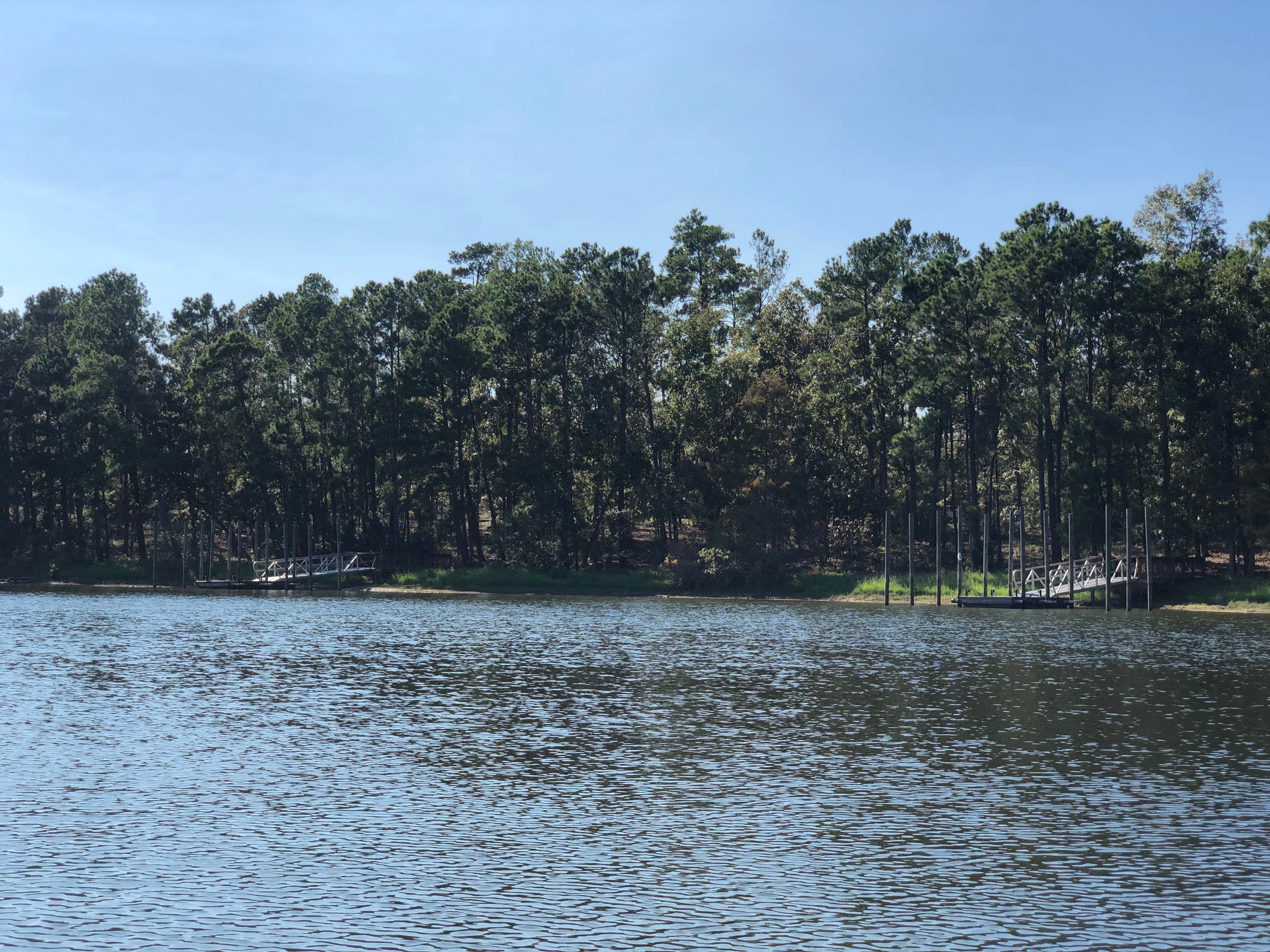 Camper-submitted photo at South Toledo Bend State Park Campground near Natchitoches, LA