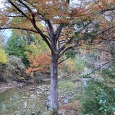 Review photo of McKinney Falls State Park Campground by Dan M., November 13, 2020