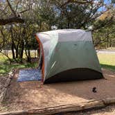 Review photo of McKinney Falls State Park Campground by Dan M., November 13, 2020