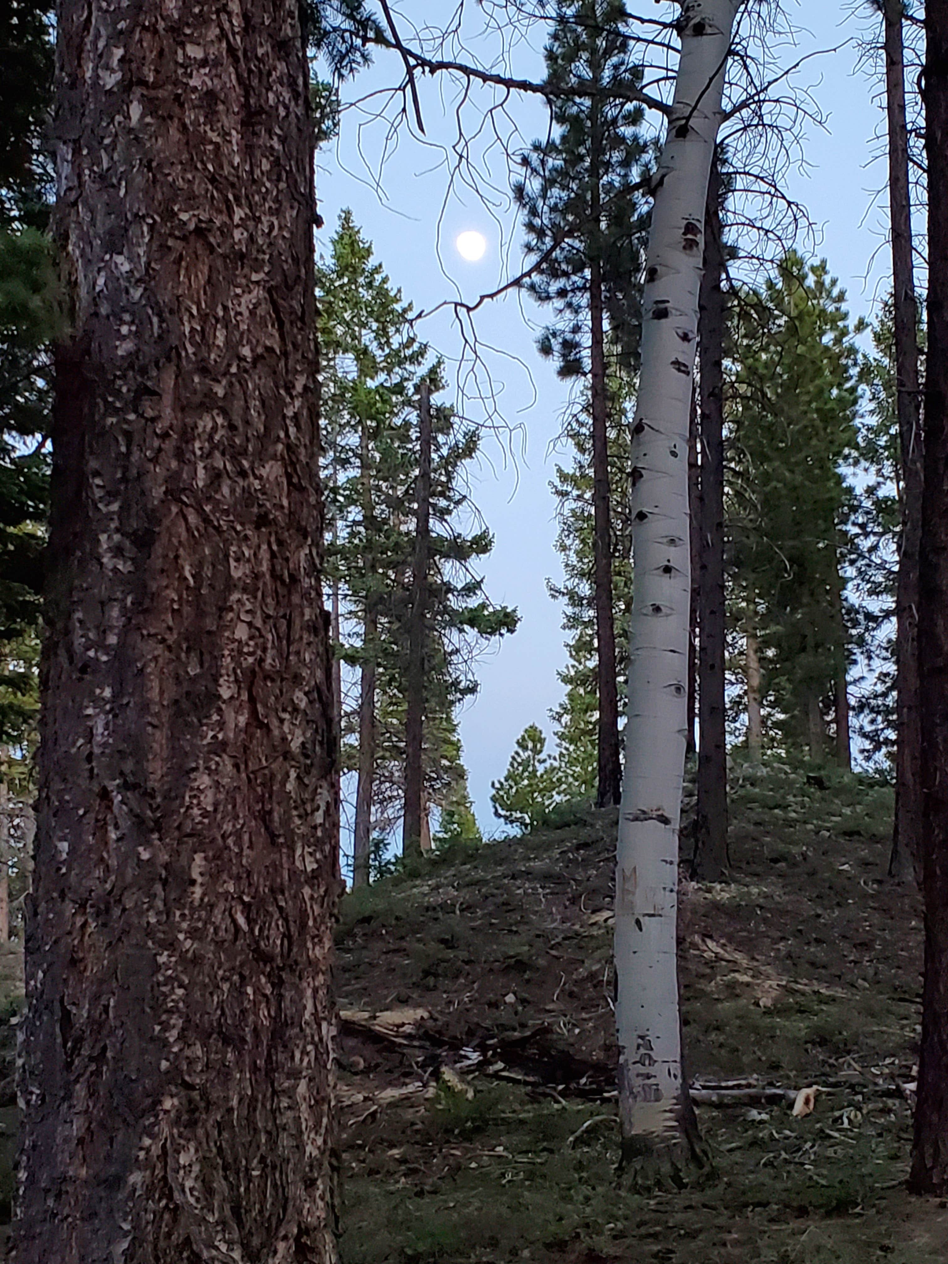 Camper submitted image from Uinta Flat Dispersed - 2