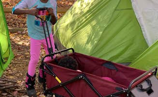 Kristy R.'s photo at Cherry Hill Park near Chester, MD
