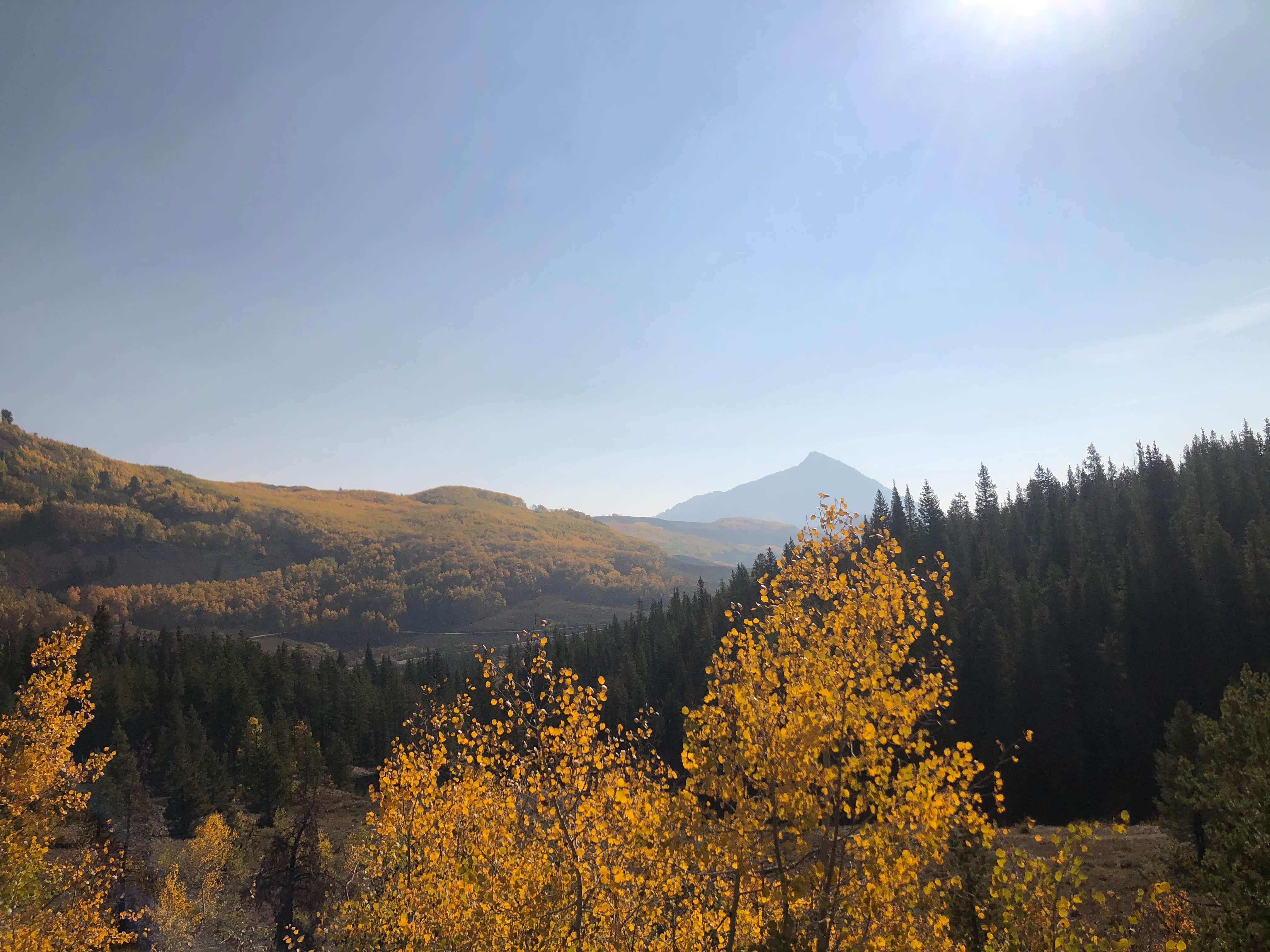 View All