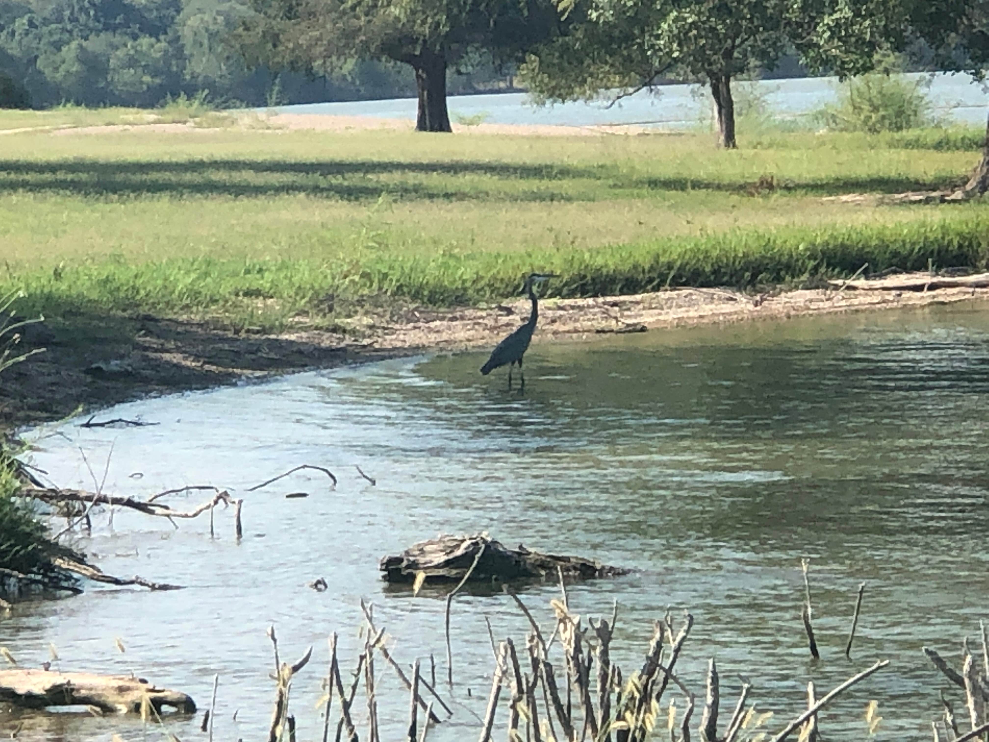 Camper-submitted photo at Wilson H Fox near Cameron, TX