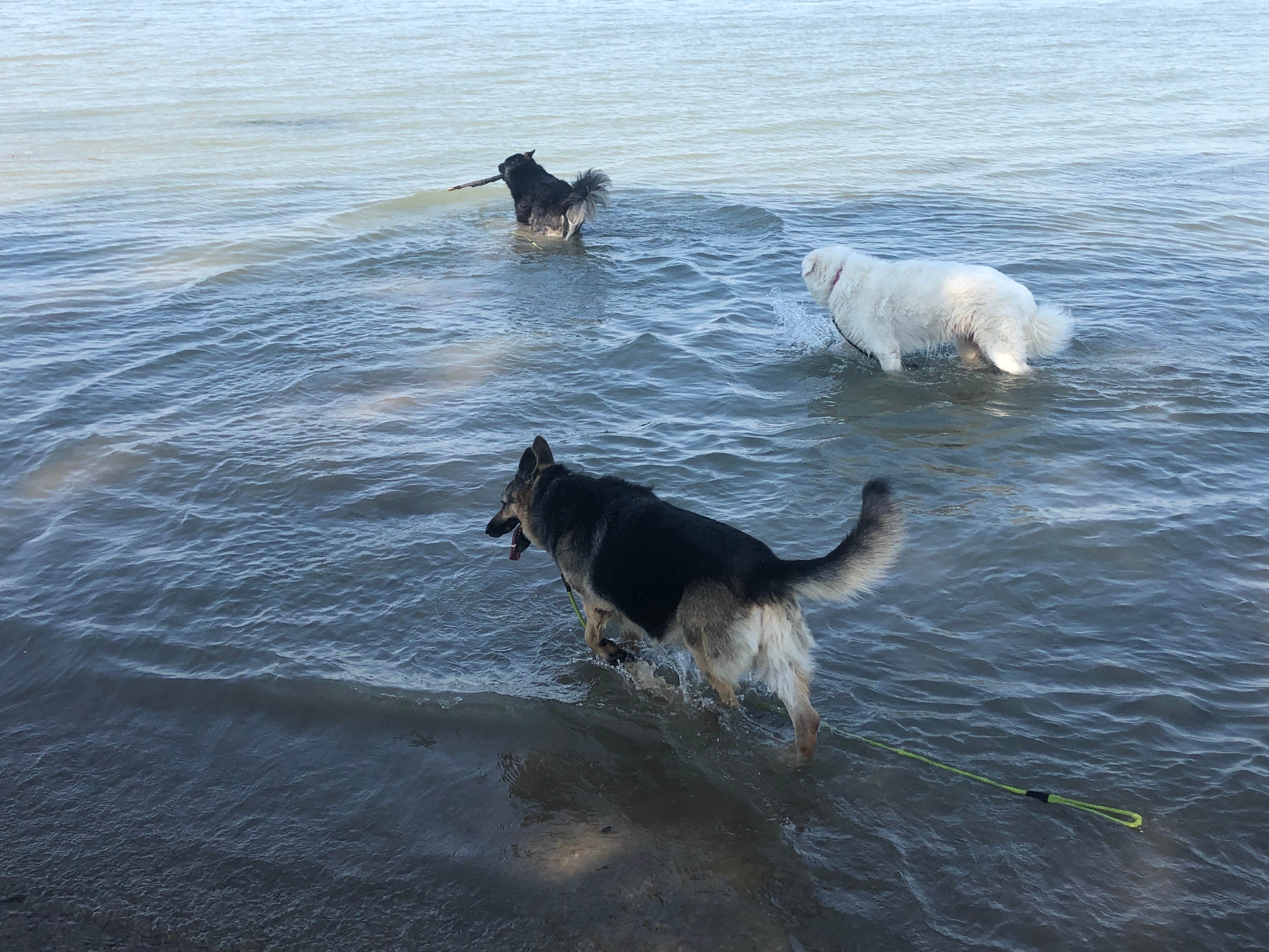 Camper-submitted photo at Wilson H Fox near Cameron, TX