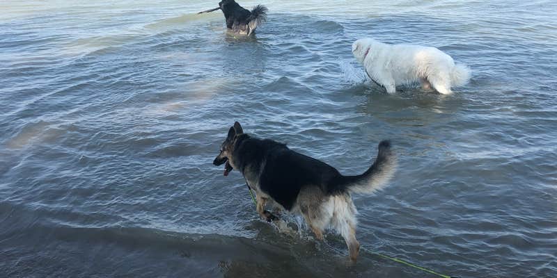 Camper submitted image from Wilson H Fox