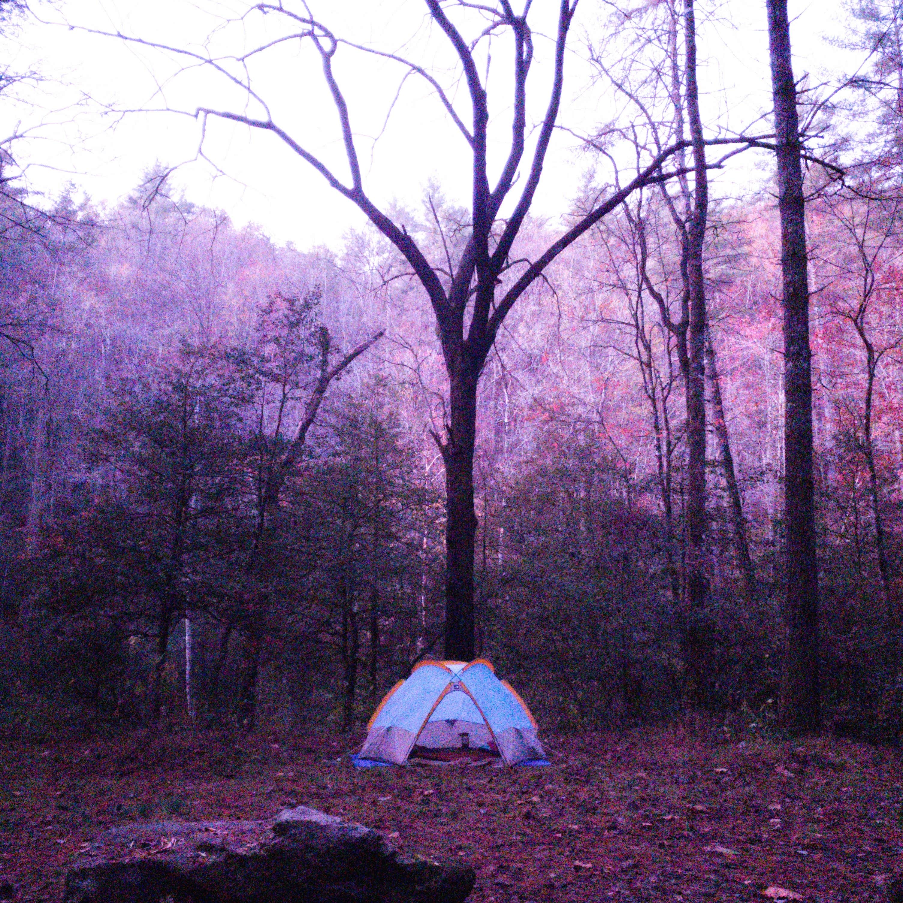 Steven M.'s photo of tent camping at West Fork Campground (Clayton, Ga) — Chattahoochee Oconee National Forest near Long Creek, SC