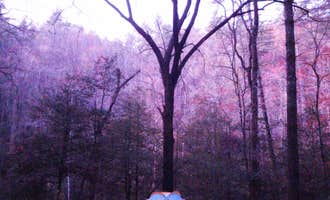 Camping near Big Bend: West Fork Campground, Highlands, Georgia