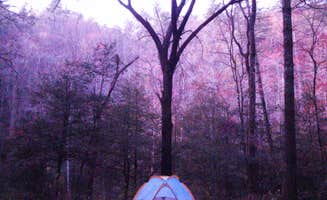 Steven M.'s photo of tent camping at West Fork Campground (Clayton, Ga) — Chattahoochee Oconee National Forest near Seneca, SC