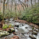 Review photo of Cades Cove Campground by Sara R., November 13, 2020