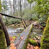 Review photo of Cades Cove Campground by Sara R., November 13, 2020