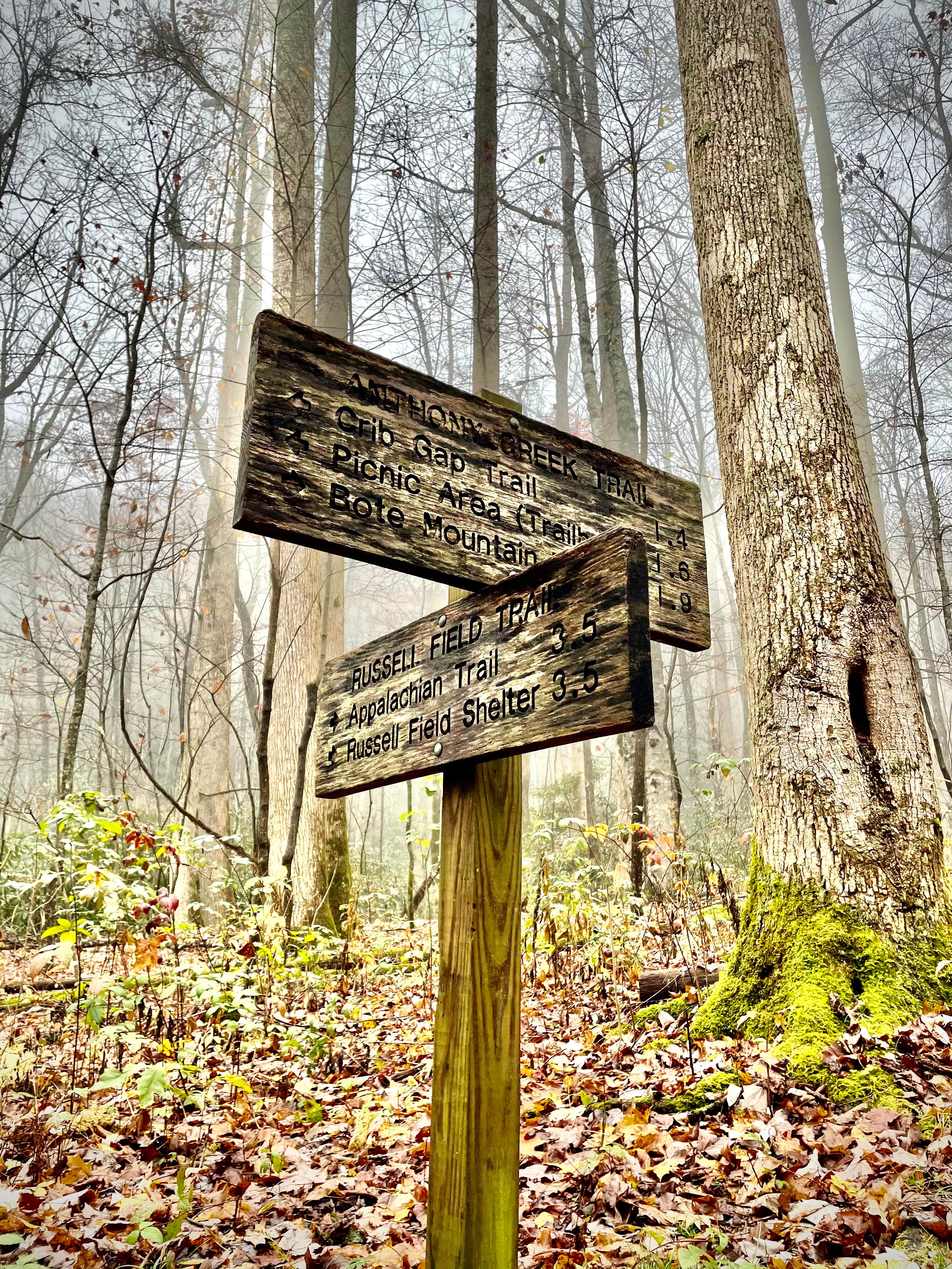 Camper-submitted photo at Cades Cove Campground in Tennessee