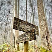 Review photo of Cades Cove Campground by Sara R., November 13, 2020