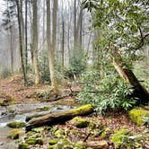 Review photo of Cades Cove Campground by Sara R., November 13, 2020