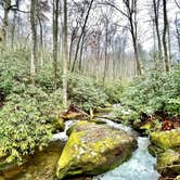 Review photo of Cades Cove Campground by Sara R., November 13, 2020