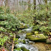 Review photo of Cades Cove Campground by Sara R., November 13, 2020