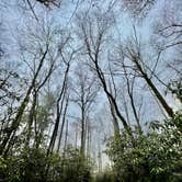 Review photo of Cades Cove Campground by Sara R., November 13, 2020