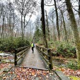 Review photo of Cades Cove Campground by Sara R., November 13, 2020