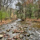 Review photo of Cades Cove Campground by Sara R., November 13, 2020