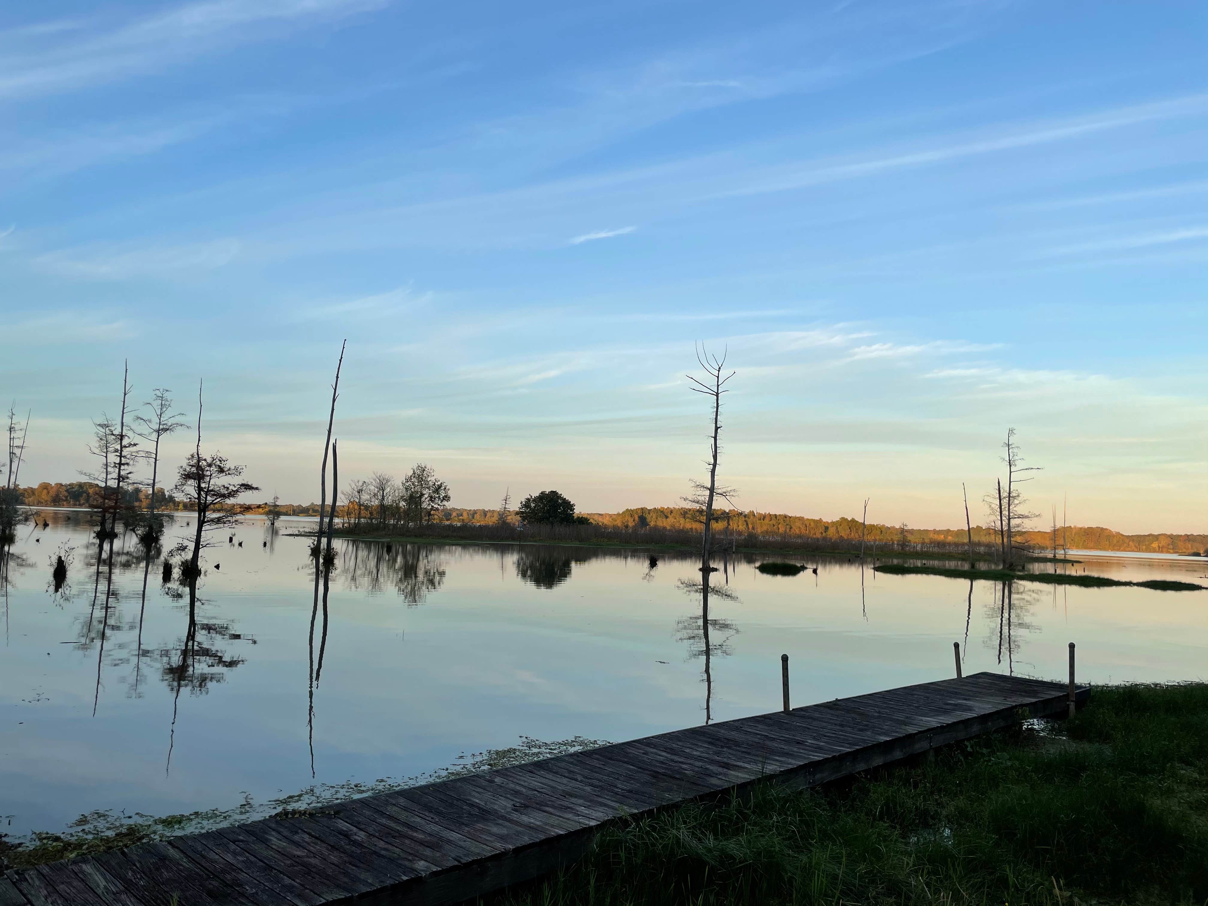 Camper submitted image from Blue Bluff Campground (aberdeen Ms) - 2