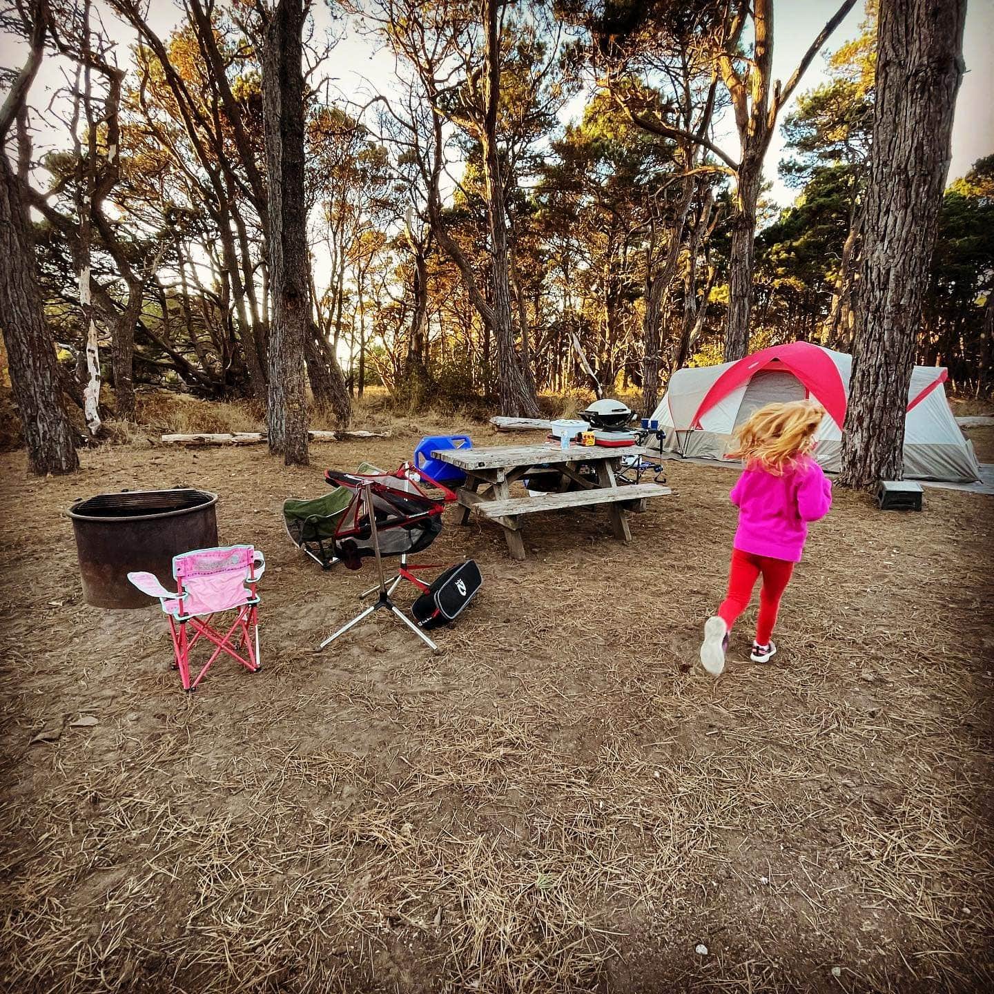 Erin S.'s photo of tent camping at Pinewood Campground near Albion, CA