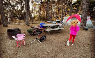 Erin S.'s photo at Pinewood Campground near Soda Springs, CA