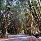 Review photo of Gualala Point Regional Park by Sara R., November 13, 2020