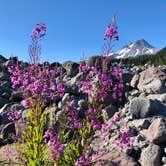 Review photo of White River West Sno-Park by Sara R., November 13, 2020