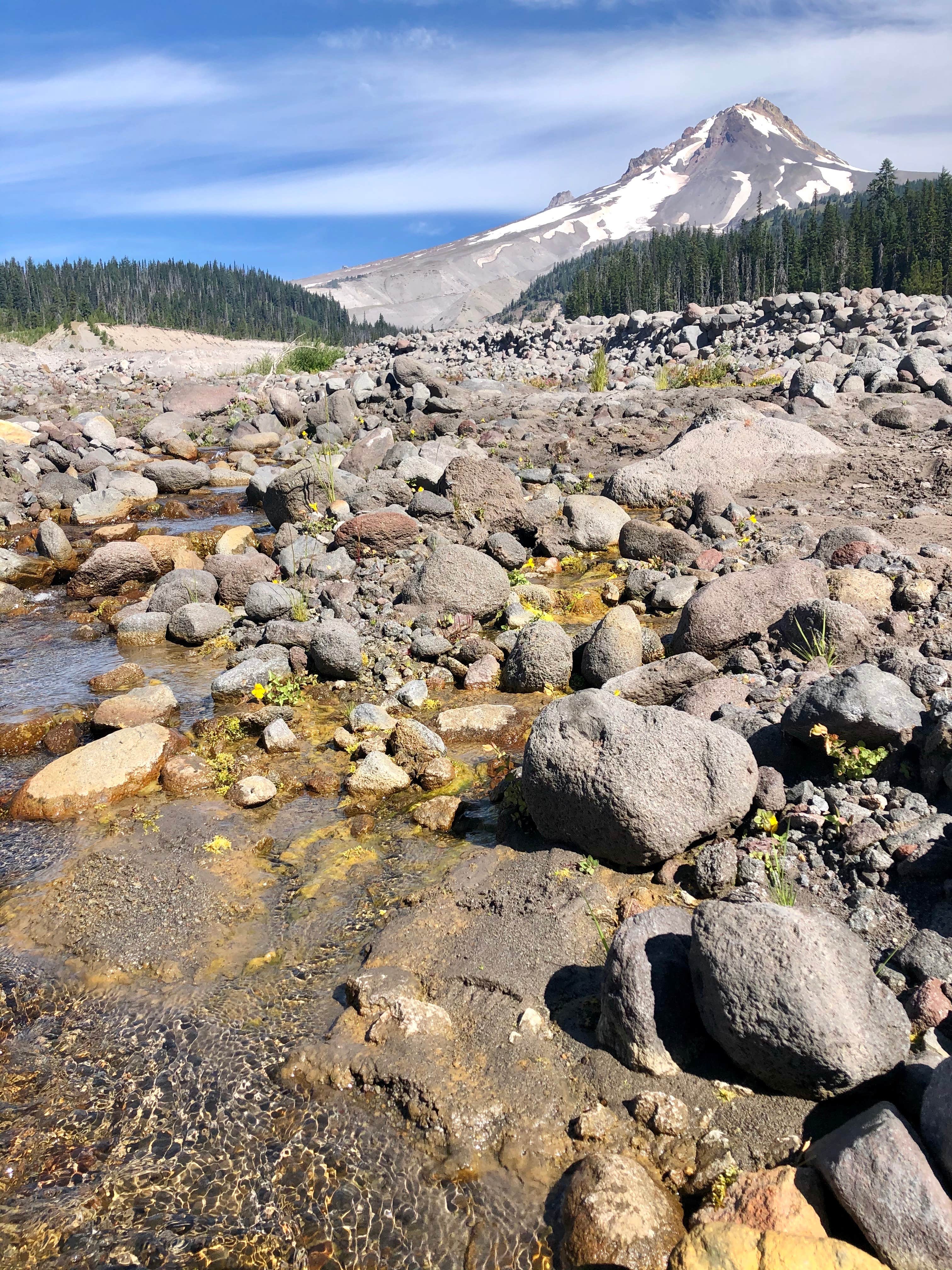 Camper submitted image from White River West Sno-Park - 3