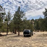 Review photo of Steelhead Falls Trailhead & Campground by Sara R., November 13, 2020