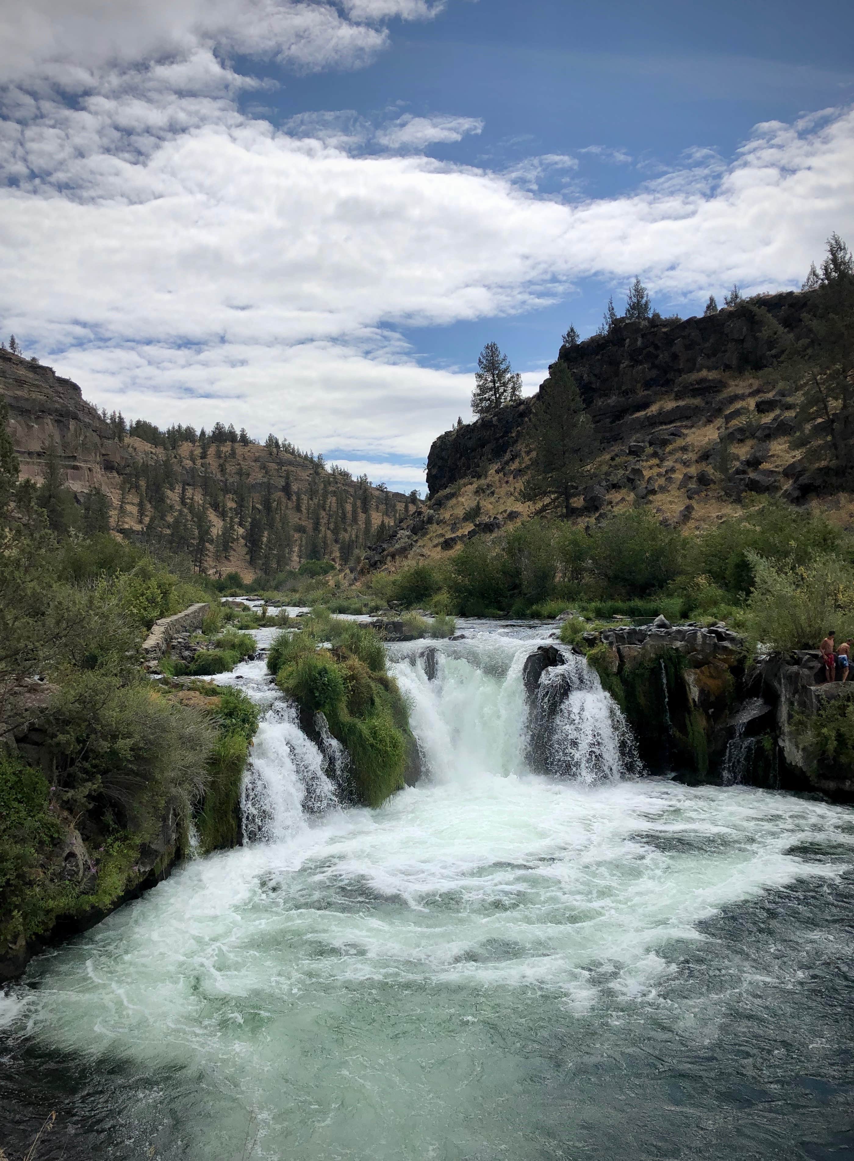 Camper submitted image from Steelhead Falls Trailhead & Campground - 5