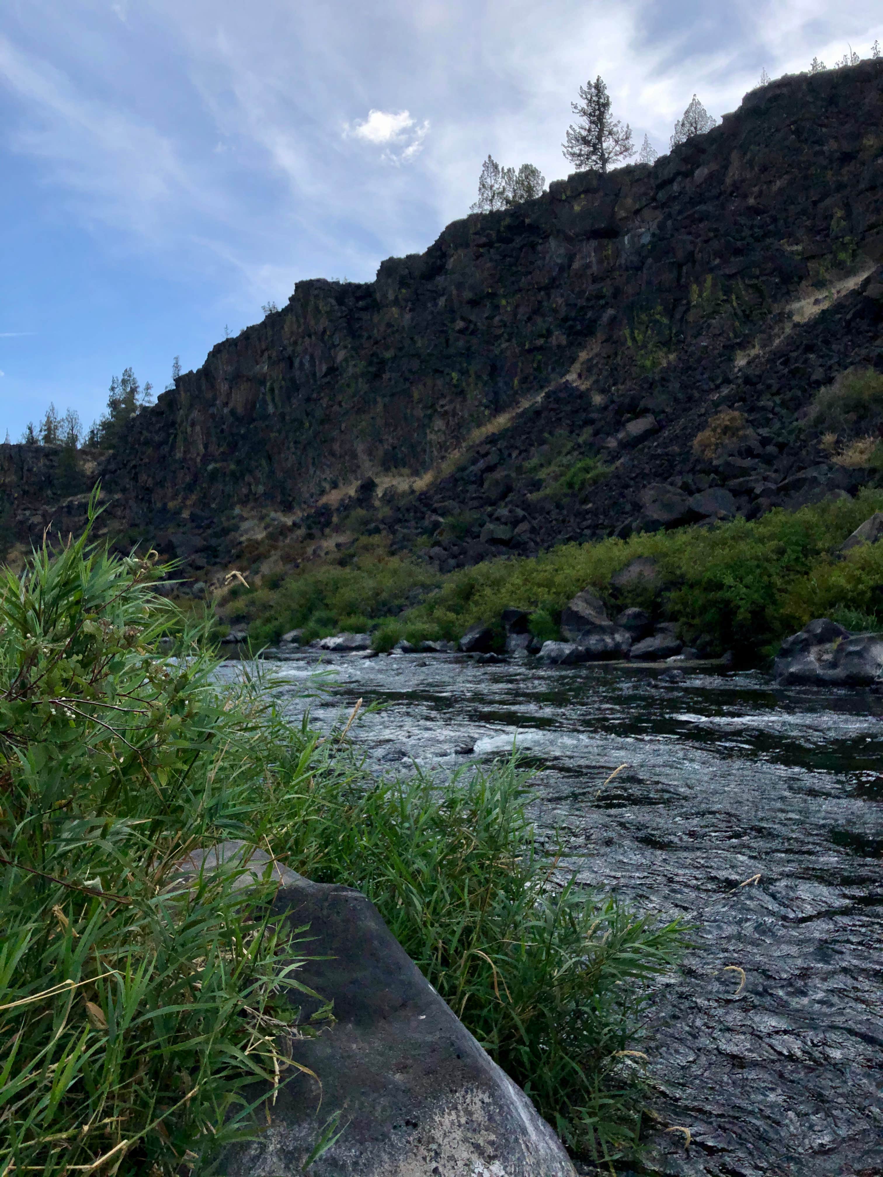 Camper submitted image from Steelhead Falls Trailhead & Campground - 1