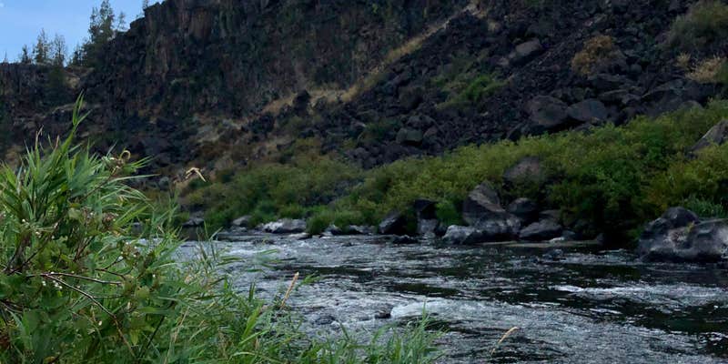 Camper submitted image from Steelhead Falls Trailhead & Campground