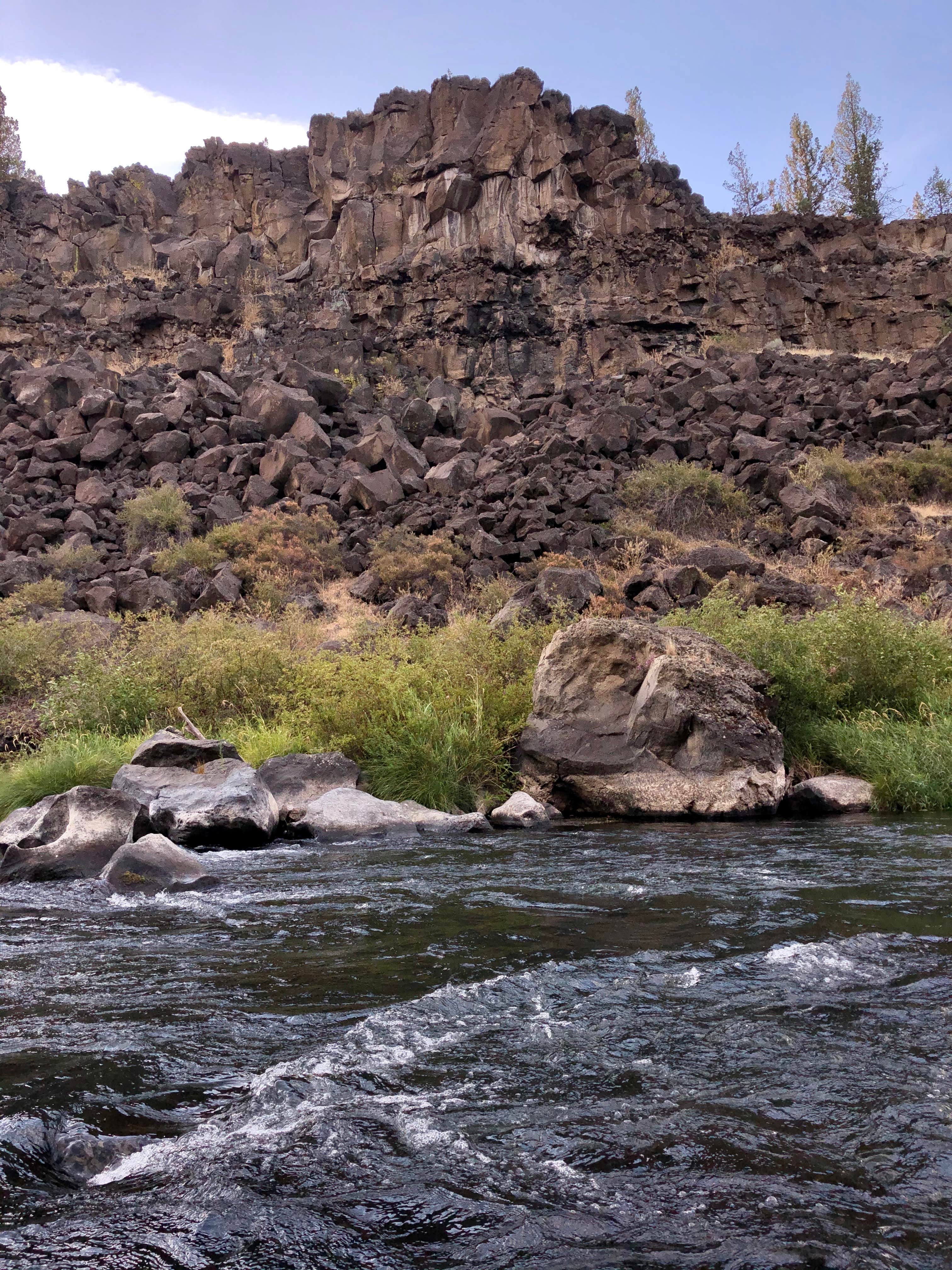 Camper submitted image from Steelhead Falls Trailhead & Campground - 3