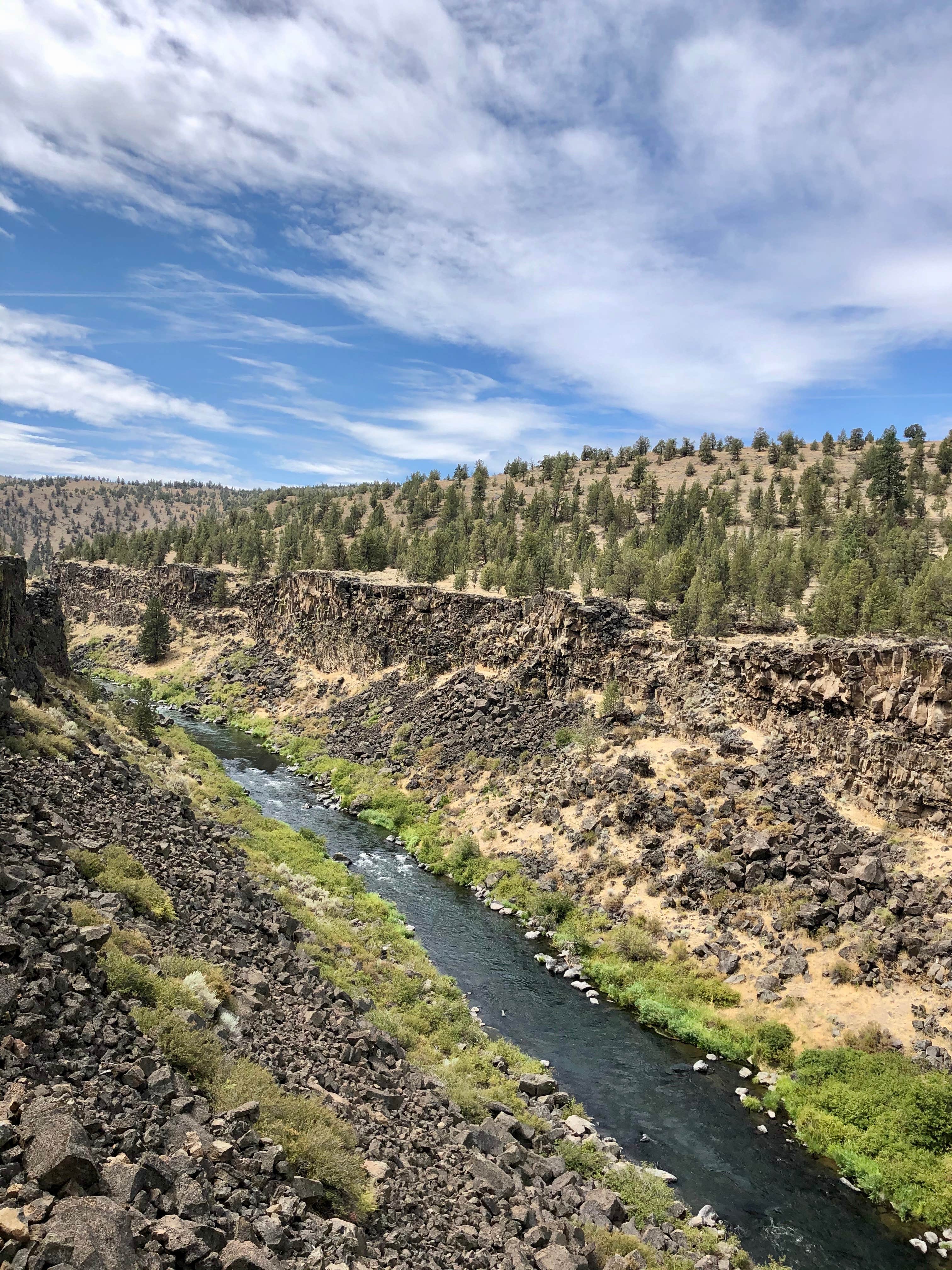 Camper submitted image from Steelhead Falls Trailhead & Campground - 4