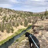 Review photo of Steelhead Falls Trailhead & Campground by Sara R., November 13, 2020