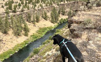 Sara R.'s photo of camping with pets at Steelhead Falls Trailhead & Campground near Madras, OR